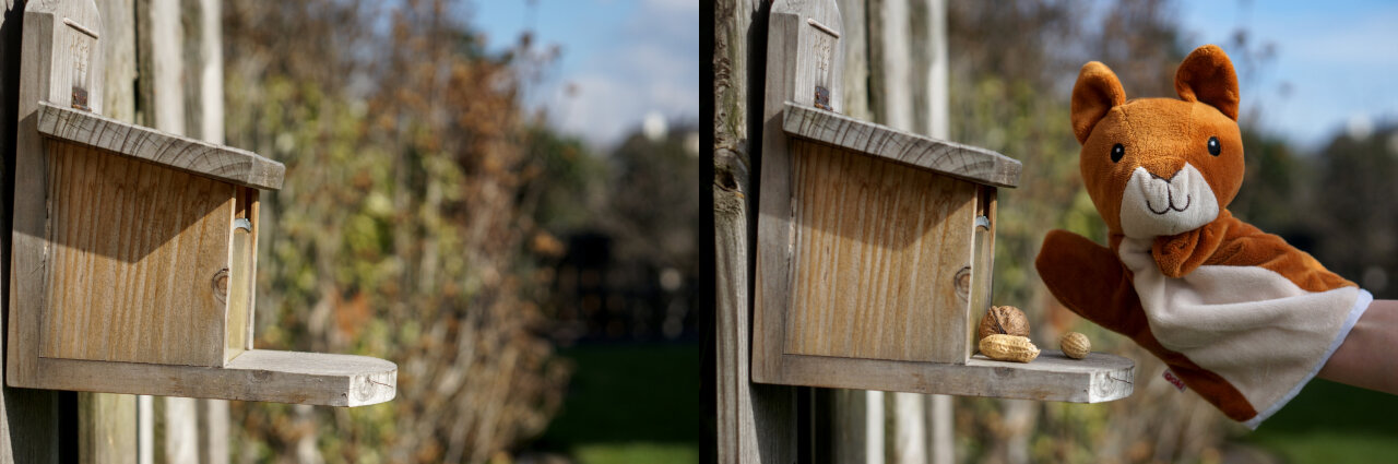 Side-by-side image of the scene showing only the nut box in front of a blurry background and the nutbox with a hand-pupped squirrel in front of the blurry background.